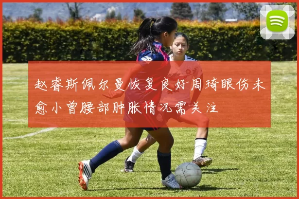 赵睿斯佩尔曼恢复良好周琦眼伤未愈小曾腰部肿胀情况需关注